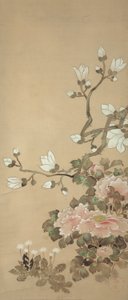 Pioner, Magnolia och Maskrosor