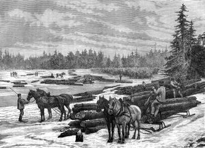 Kanadensiska skogshuggare, 1800-talet.