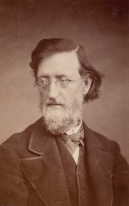 Porträtt av John Peter Lesley 1819-1903, december 1875. av Taylor and Brown