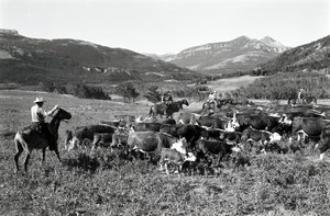 Robert Staffanson av Ted Spiegel