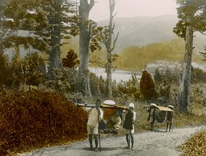 Japansk flicka i en Kago, Hakone-regionen, ca 1900 - 1915 (fotografi)