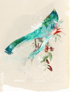 Bird Silhouette, 2017 (Collage på duk)