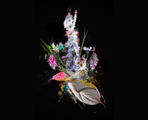 Bouquet II, 2017 (blandade media på duk) av Teis Albers