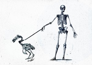 Walking my dodo, 2015 (mixed media på duk) av Teis Albers