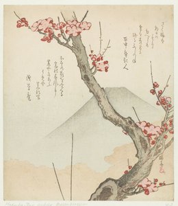 Mount Fuji och ett blommande plommon