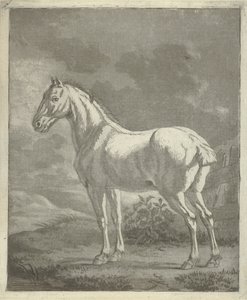 Mögel på en äng av Tethart Philip Christian Haag