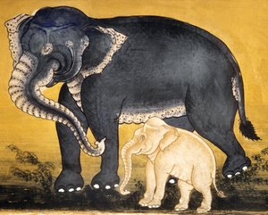 Elefant och kalv, sida ur ett manuskript om elefantträning (wc på papper)