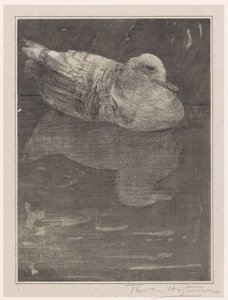 flytande anka av Theo van Hoytema (signed by artist)