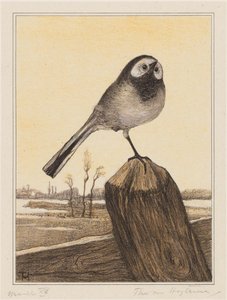Vipstjärt på stång av Theo van Hoytema (signed by artist)