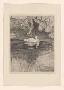 Damm med anka av Theo van Hoytema (signed by artist)