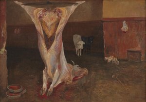 Slaktkropp av en oxe. Rom