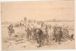 En drivande oxar i det romerska fälttåget av Theodor Philipsen