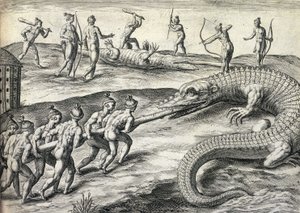 Nakna indianer jagar alligatorer i Florida, USA