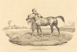 En arabisk häst av Theodore Gericault