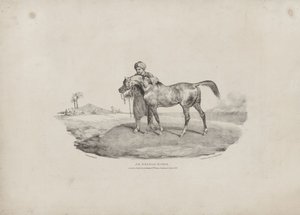 En arabhäst av Theodore Gericault