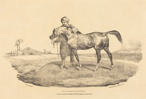 En arabhäst av Theodore Gericault