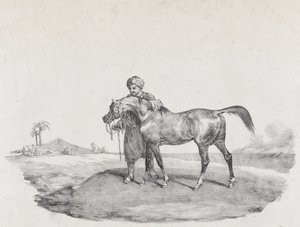 En arabisk häst, 1821 av Theodore Gericault