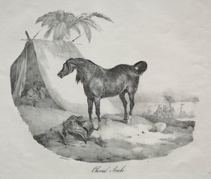 Arabisk häst av Theodore Gericault