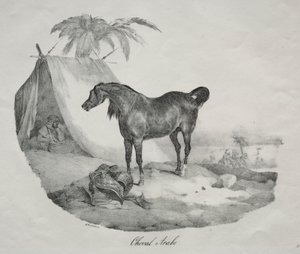 Arabhäst av Theodore Gericault