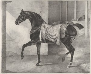 Svart häst uppbunden i ett stall av Theodore Gericault