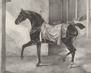 Svart häst bunden i ett stall, 1822. av Theodore Gericault