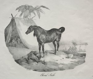 Arabisk häst. av Theodore Gericault