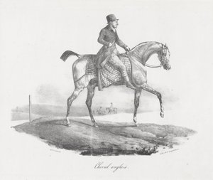 Engelsk häst (An English Horse) av Theodore Gericault