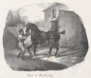 Mecklenburghäst (A Mecklenburg Horse) av Theodore Gericault