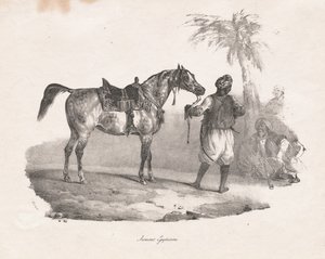 egyptisk sto av Theodore Gericault