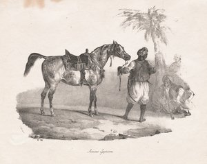 Egyptisk sto, 1822. av Theodore Gericault