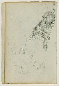 Fyra studier av lejon av Theodore Gericault