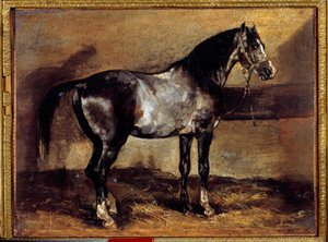Grey Horse at the Ratelier Målning av Theodore Gericault (1791-1824) 1800-talets sön. 0,26x0,34 m av Theodore Gericault