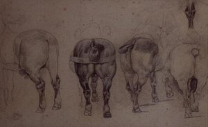 Spännade hästar (penna) av Theodore Gericault