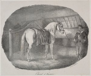 Häst från Hannover av Theodore Gericault