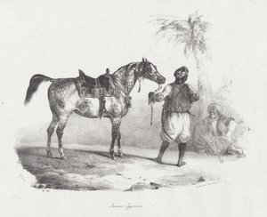 Egyptisk sto (An Egyptian Mare) av Theodore Gericault
