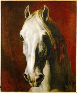 Huvudet av en vit häst av Theodore Gericault