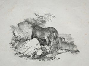 Stoet och hennes föl. av Theodore Gericault