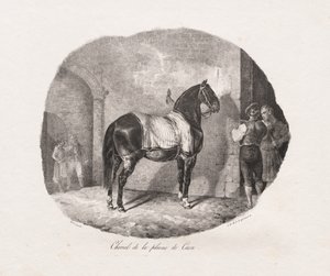 Litograferade studier av hästar: Pl. 7, Häst från Caenslätten av Theodore Gericault