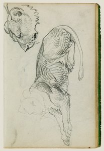 Sittande lejon, huvud av lejoninna av Theodore Gericault