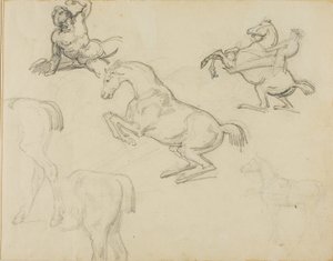 Skisser: Liggande naken, en ryttare och olika hästar av Theodore Gericault