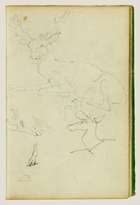 Studier av en sittande hjort, ett hjortkalv och ett gethuvud av Theodore Gericault