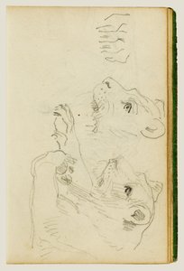 Studier av huvudet och frambenen hos en lejonhona av Theodore Gericault