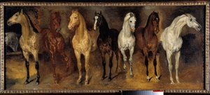 Brösten Sju hästar framifrån. Målning av Theodore Gericault (1791-1824) 1800-talet sön. 0,39x0,94 m Privat samling - Sju hästkistor (framifrån). Målning av Theodore Gericault (1791-1824) av Theodore Gericault