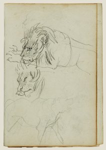 Tre lejonstudier av Theodore Gericault