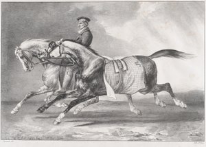 Två gråspräckliga hästar som motioneras av Theodore Gericault