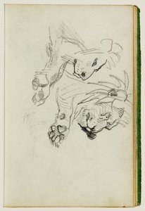 Två studier om lejon av Theodore Gericault