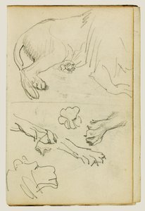 Olika studier av lejonets ben, tassar och huvud av Theodore Gericault