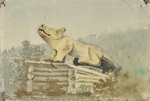 Indianernas grav. Vargtotem över medicinmannens grav, Wrangell