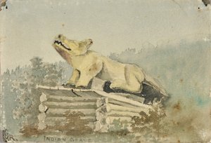 Indisk grav. Wolf Totem över Medicine Man Grave, Wrangell, ca. 1880-1914.