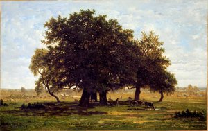 En grupp ekar, Apremont (Olja på duk